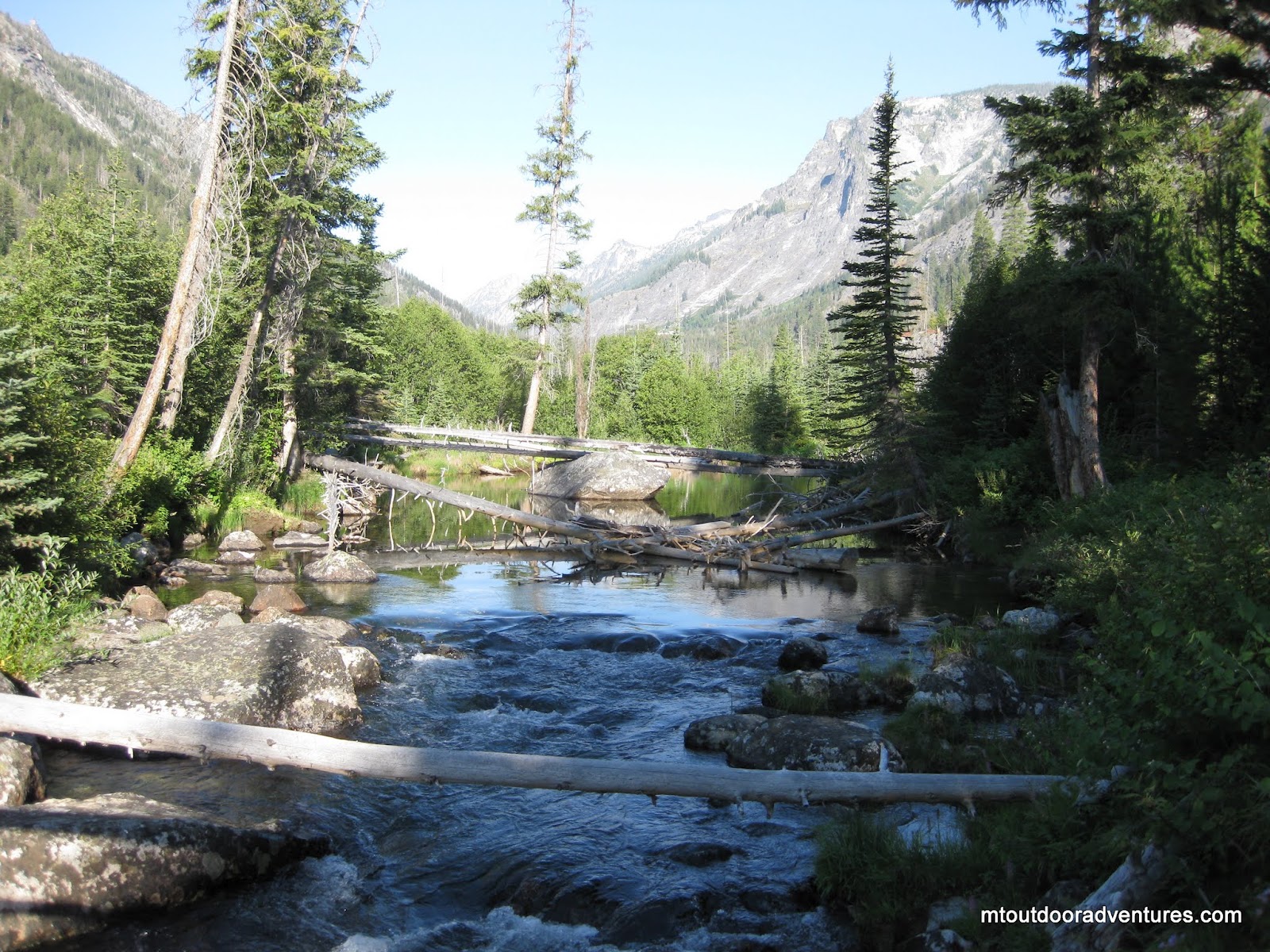 Montana Outdoor Adventures Montana Trail 19 Blodgett Creek Trail to