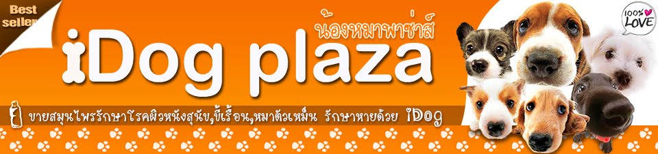 ร้านpetshop ขายเสื้อผ้าสุนัข เสื้อผ้าหมา อาหารสุนัข  สมุนไพรรักษาโรคผิวหนัง,ขี้เรื้อน