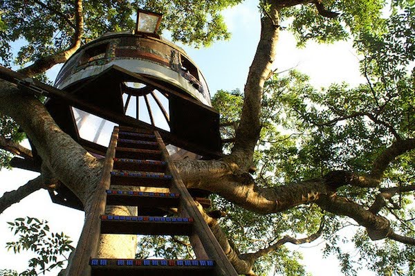 Rumah Pohon Beach Rock Treehouse