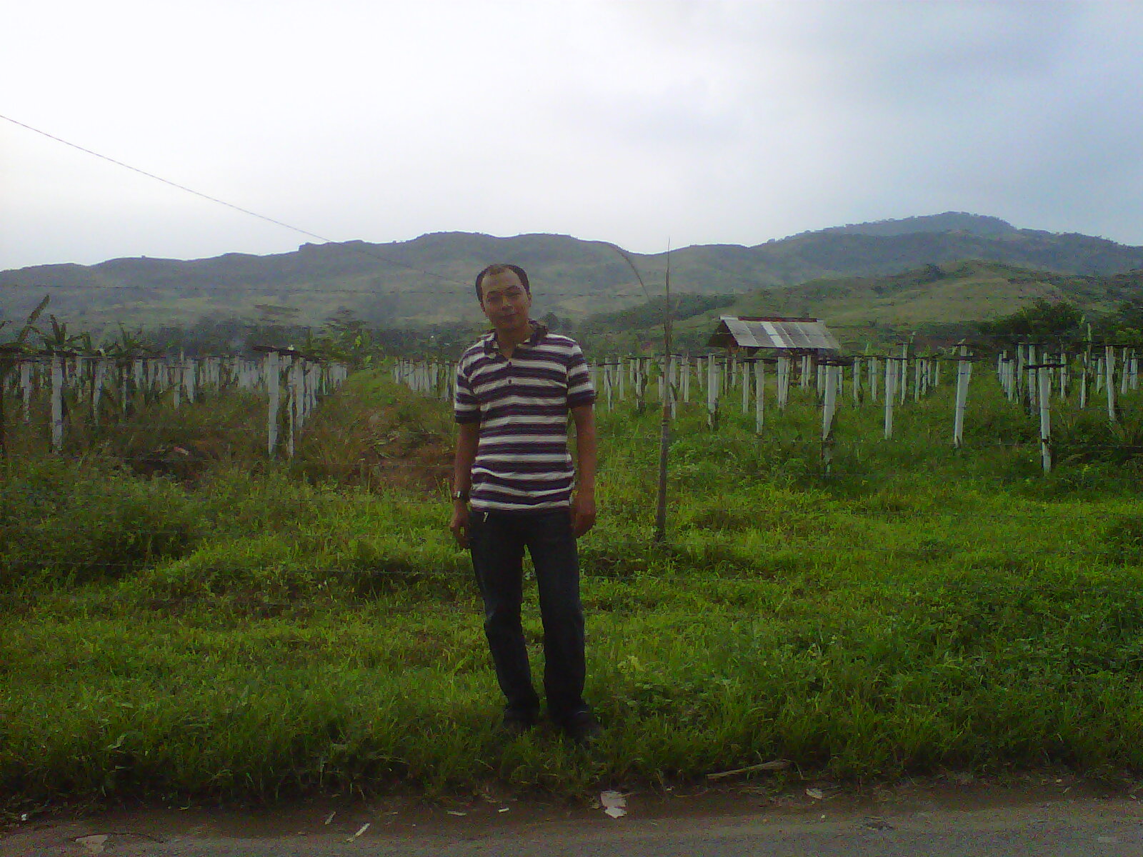 ADE ARDIAN Life's: Petualang Ke Gunung Pancar