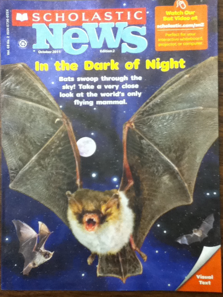Mrs. Bushong's Second Grade Bat and Pumpkin Nonfiction Unit
