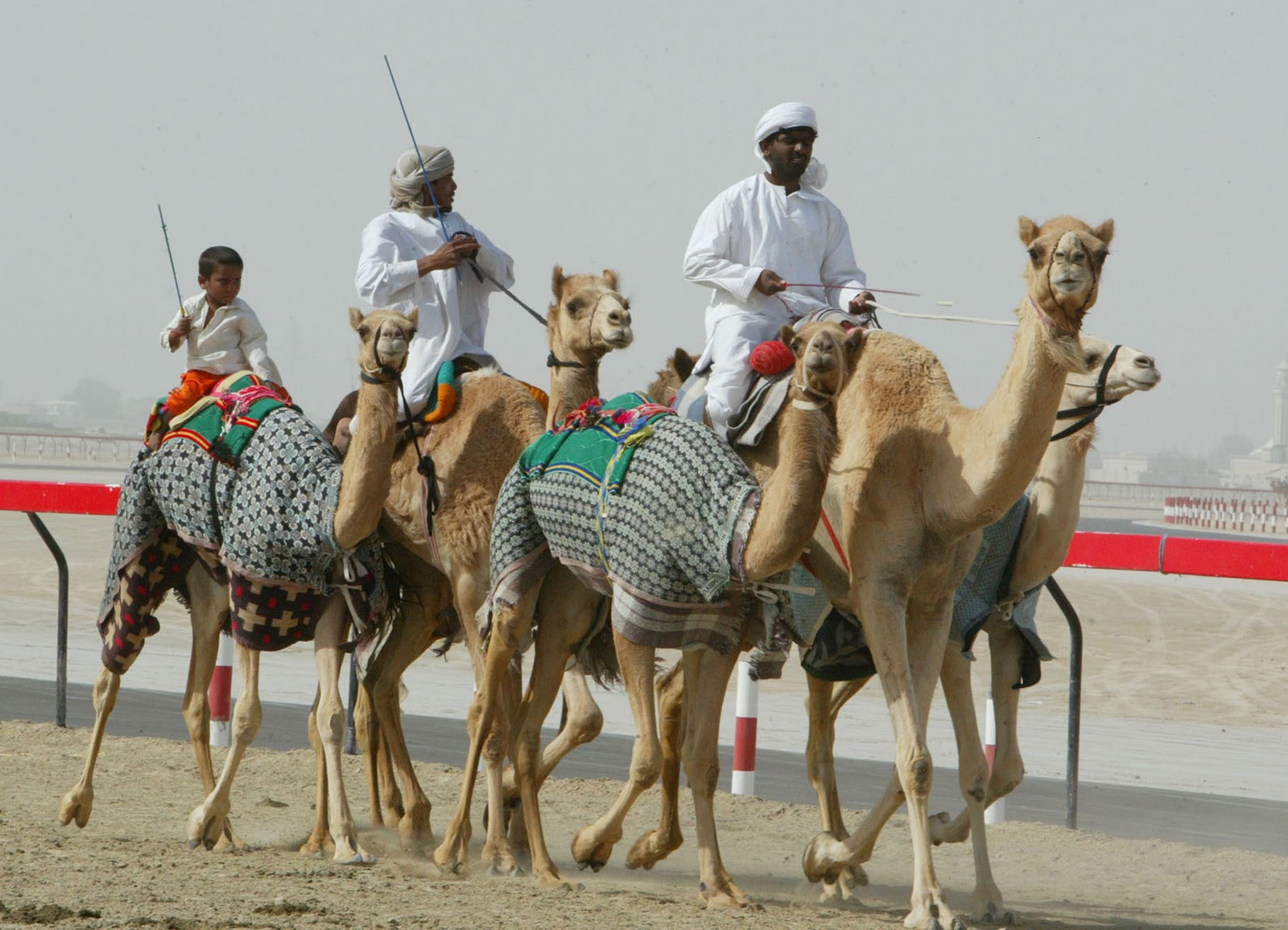 united arab emirates and arab culture The united arab emirates is a federation of 7 arab states often abbreviated as the uae the country lies along the. united arab emirates and arab culture The united arab emirates is a federation of 7 arab states often abbreviated as the uae the country lies along the.