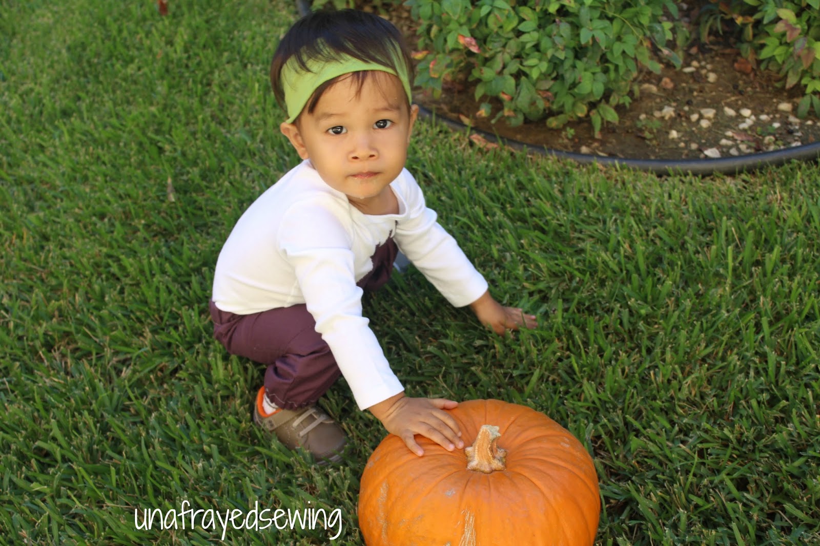 Unafrayed Kids Beet Costume