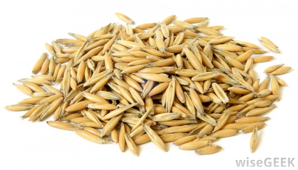 Candice's Curious Compendium this just in... oatmeal is full of oaty