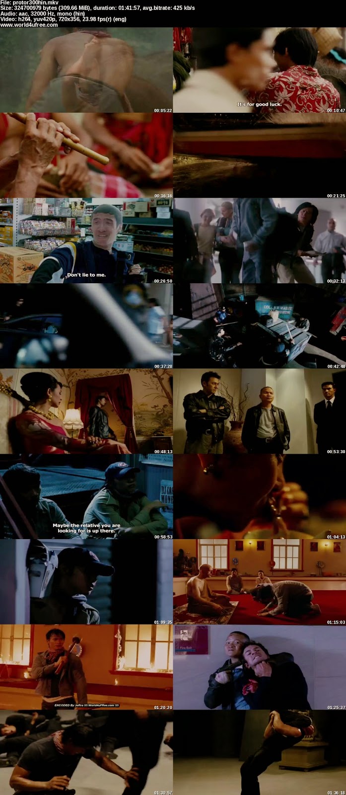 The Protector 2005 - Hollywood Movie Watch Online