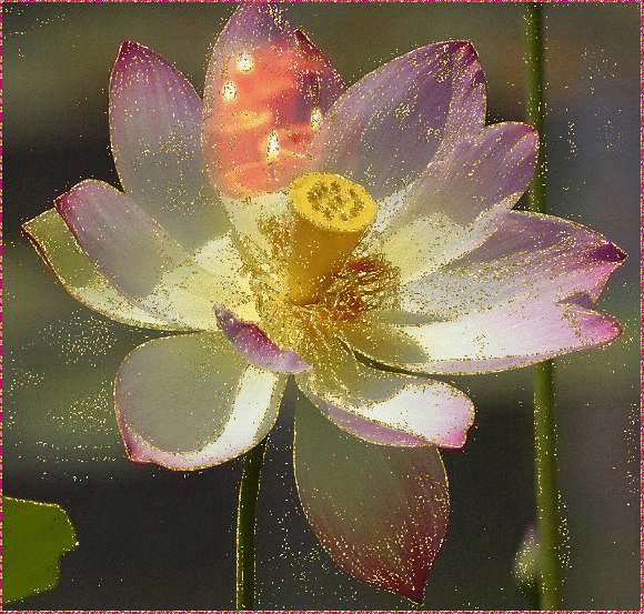 Gif_Paradise FLOWER GIFS 2