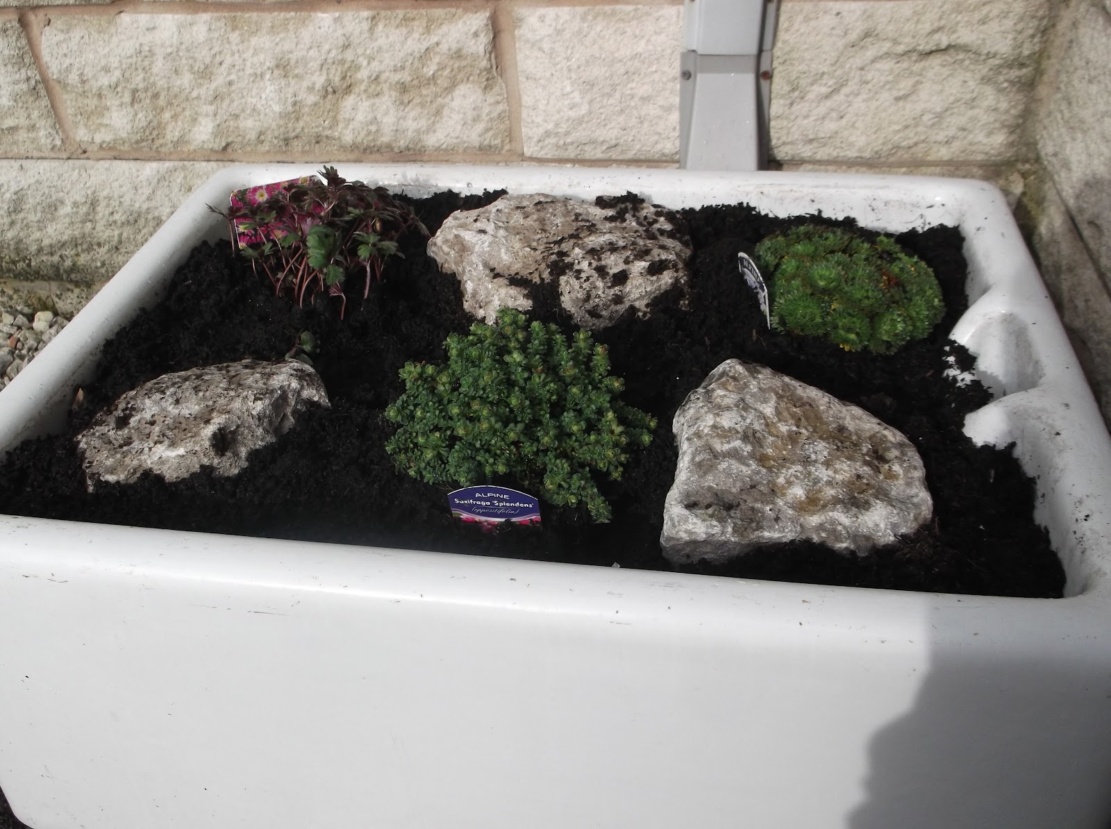 Lakes Single Mum Butler's Sink Rock Garden