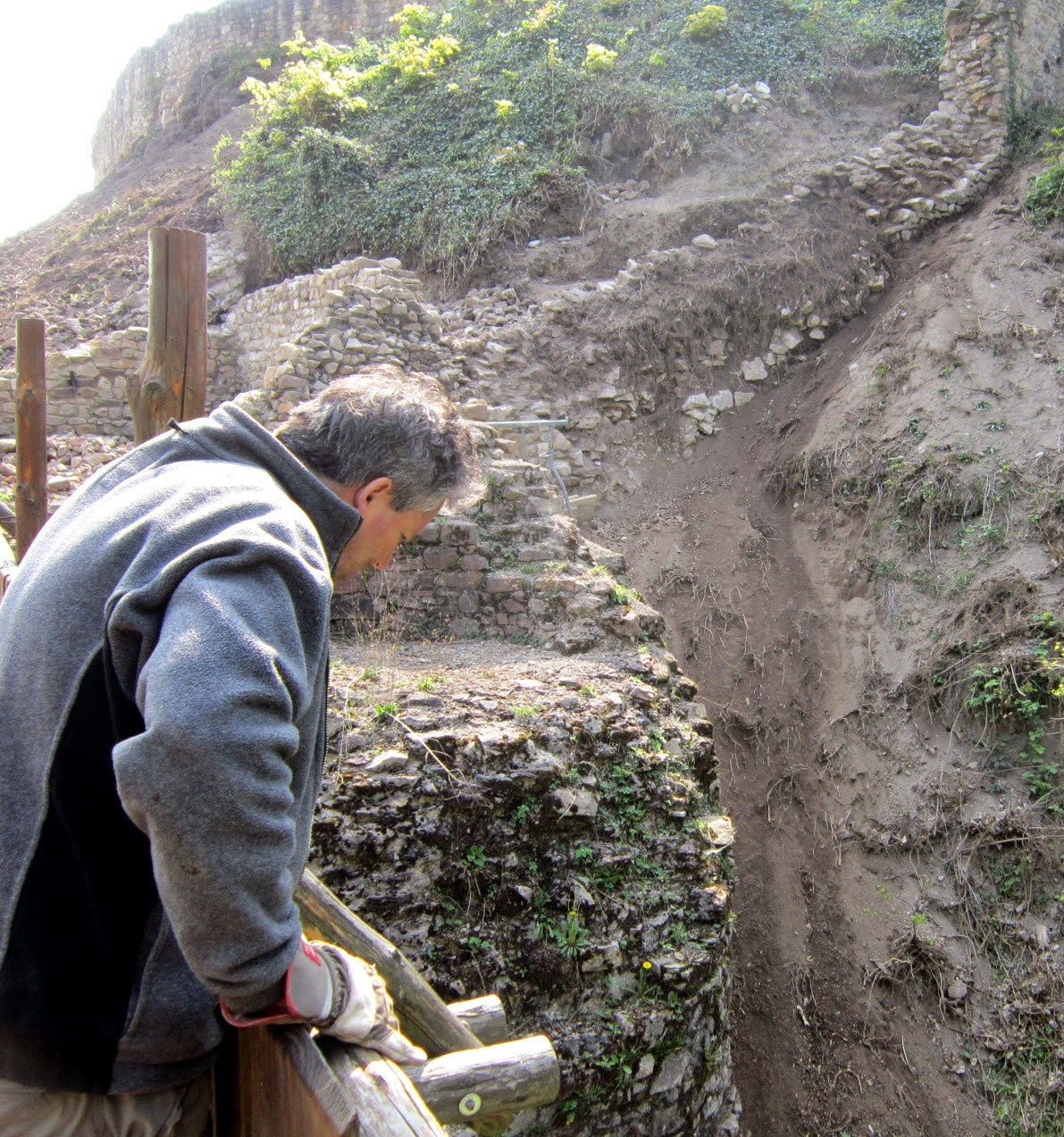 Schauenburg Dossenheim April 2014