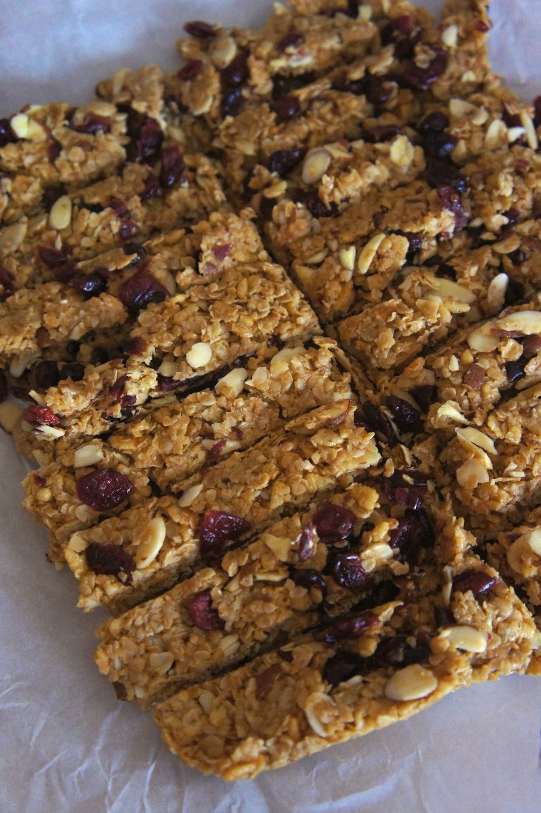 Savory Sweet and Satisfying Cranberry Almond Granola Bars
