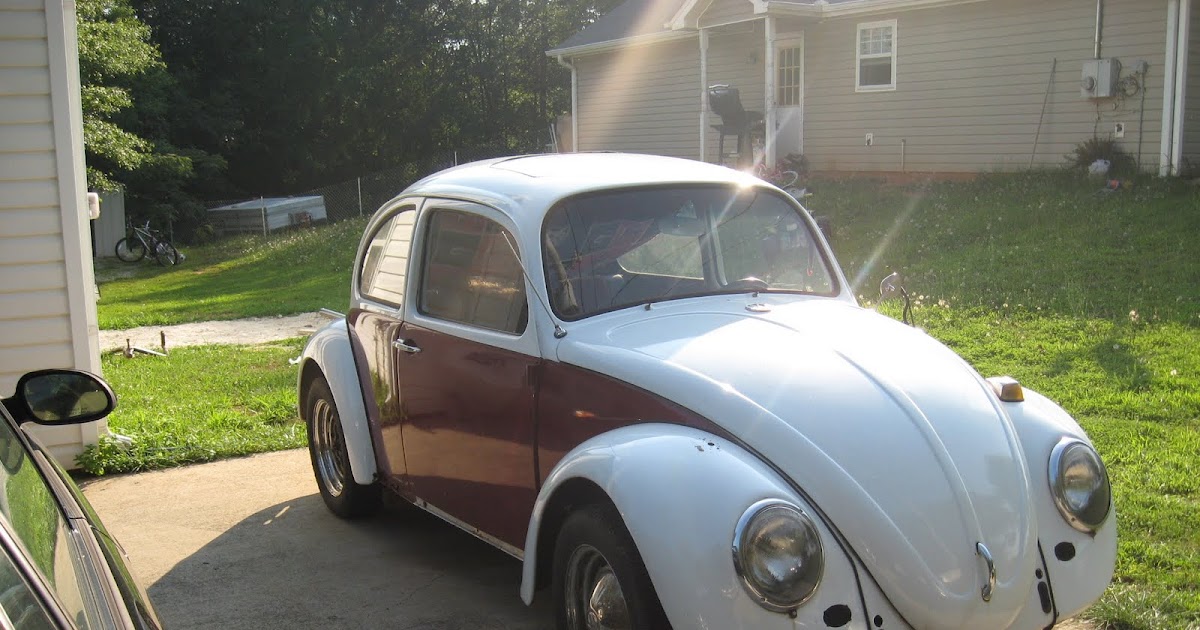 A Common Life Punch Bug!