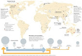 The What? And Why? Of Rare Earth Metals