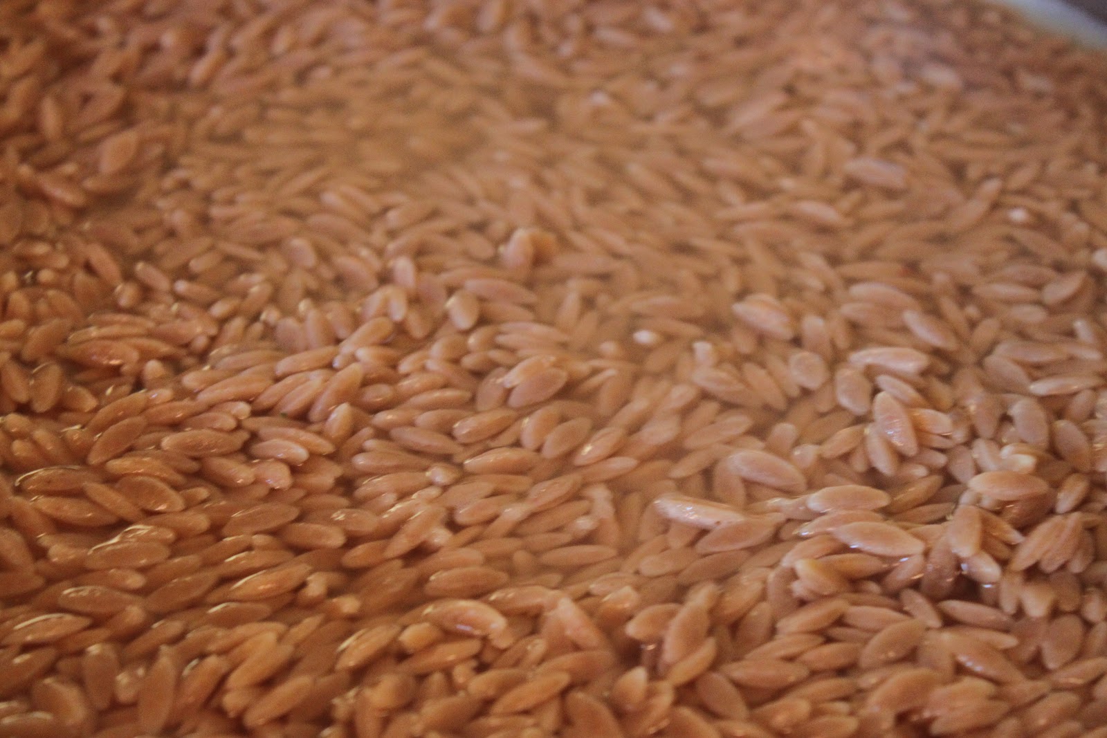 Domestic Divas Blog Orzo Risotto with Kale and Chicken Sausage