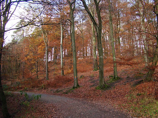 Burgerportal Bergisch Gladbach Nachrichten Hintergrunde Termine