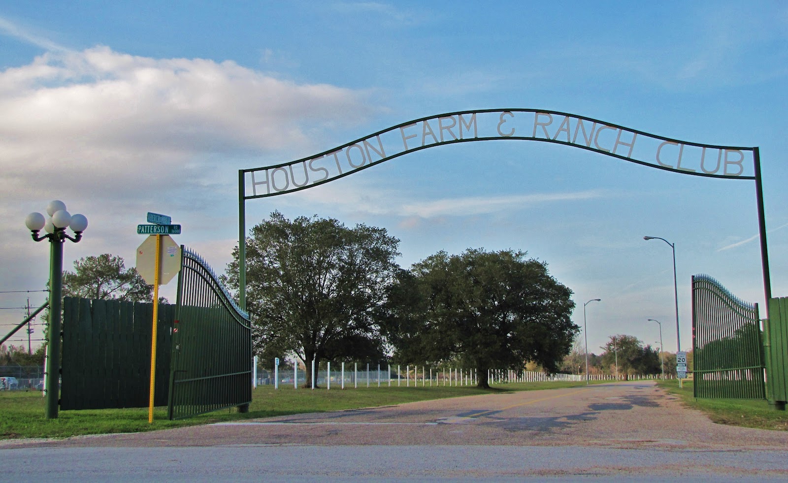 HTownWest Photo Blog Texas Longhorn Cattle at Houston Farm & Ranch