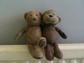 Teddy and Monkey