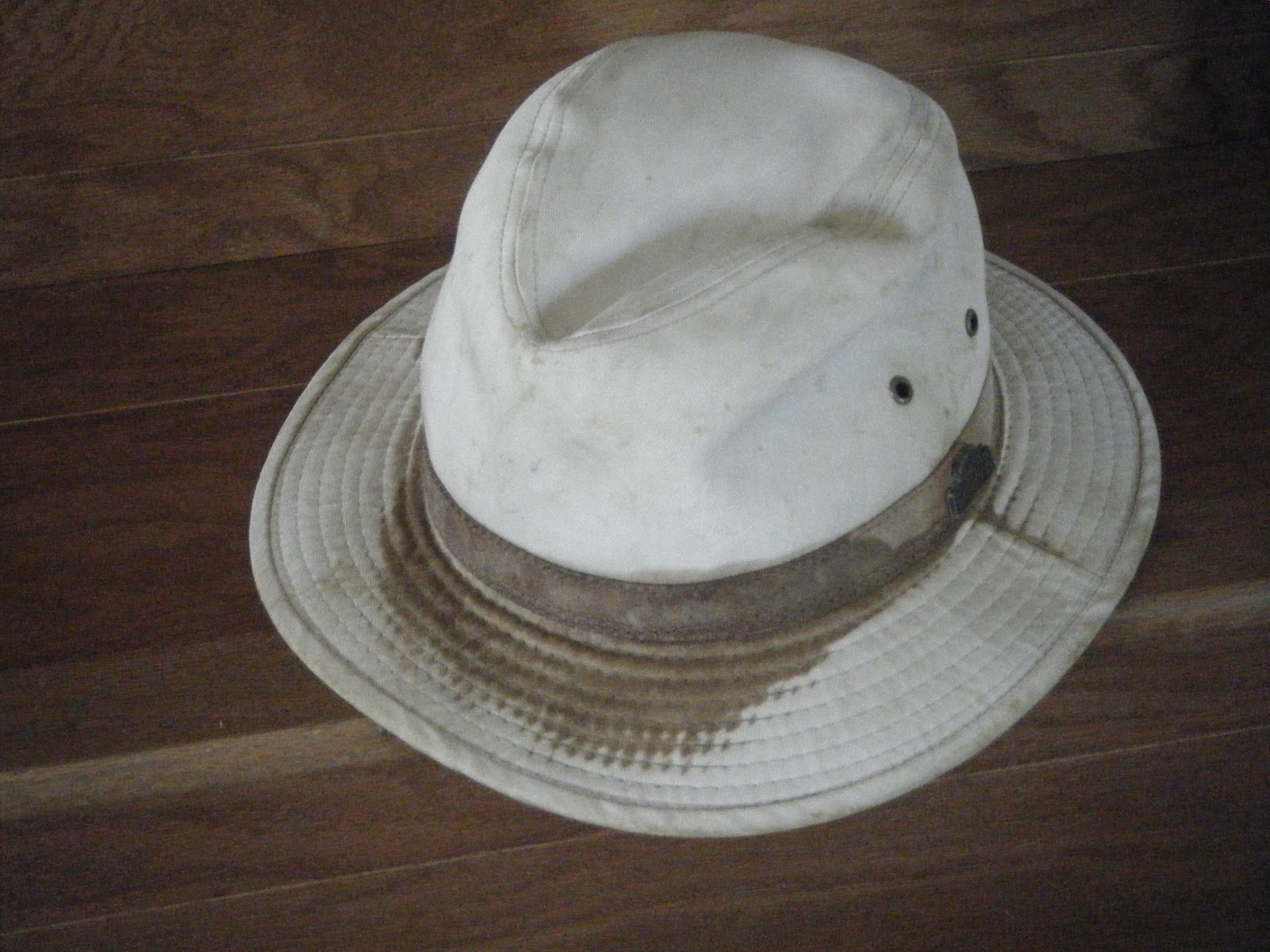 Windy Acres Diary Dirty Hat