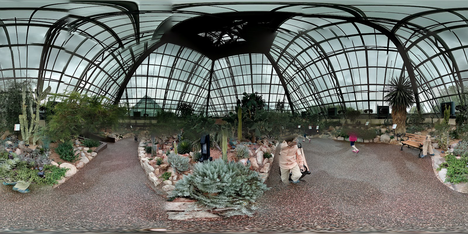 Family Fun Adventures in Edmonton A Visit to the Muttart Conservatory