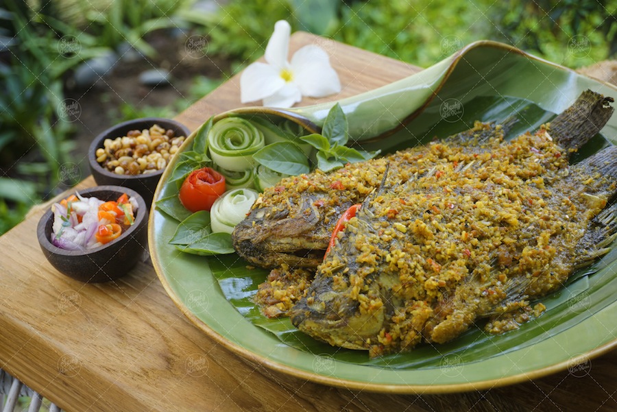 Mujair Menyatnyat khas Kintamani Bali Sashy Little Mujair Menyatnyat khas Kintamani Bali Sashy Little