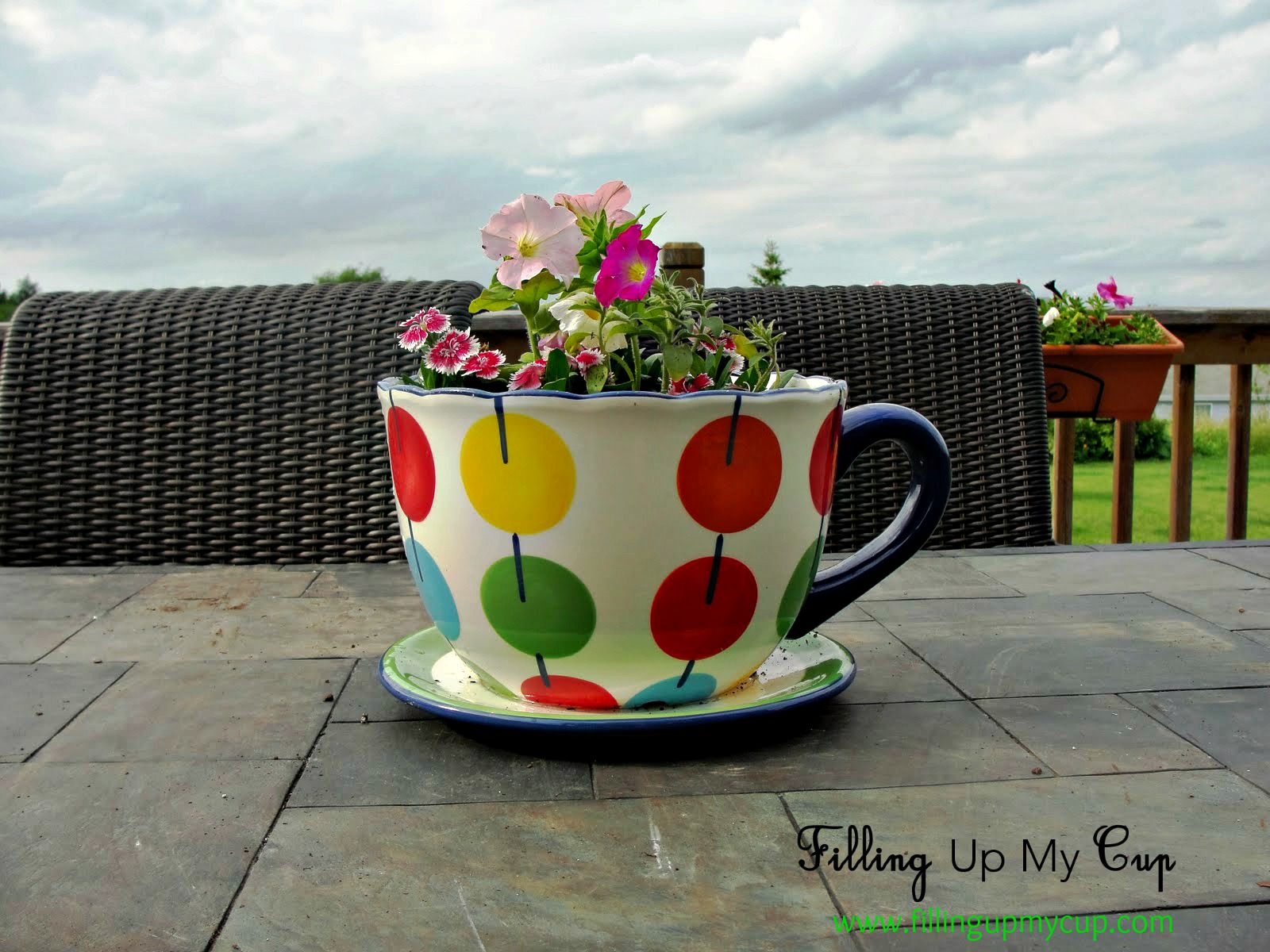 Une tasse de poésies Flower pots, Coffee cups, Container gardening