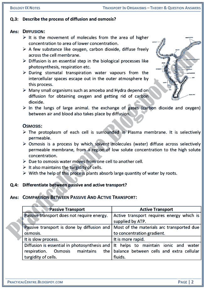 transport-in-organisms-theory-and-question-answers-biology-ix