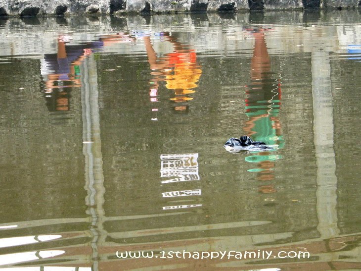 pond food chain for kids. pond food chain for kids. pond food chain for kids.