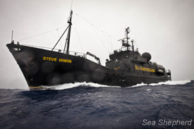 Outdoors 720 Whale Wars Did The Japanese Whaling Fleet