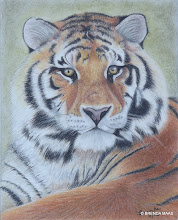 MAAS ART