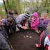 Plantation de bulbes