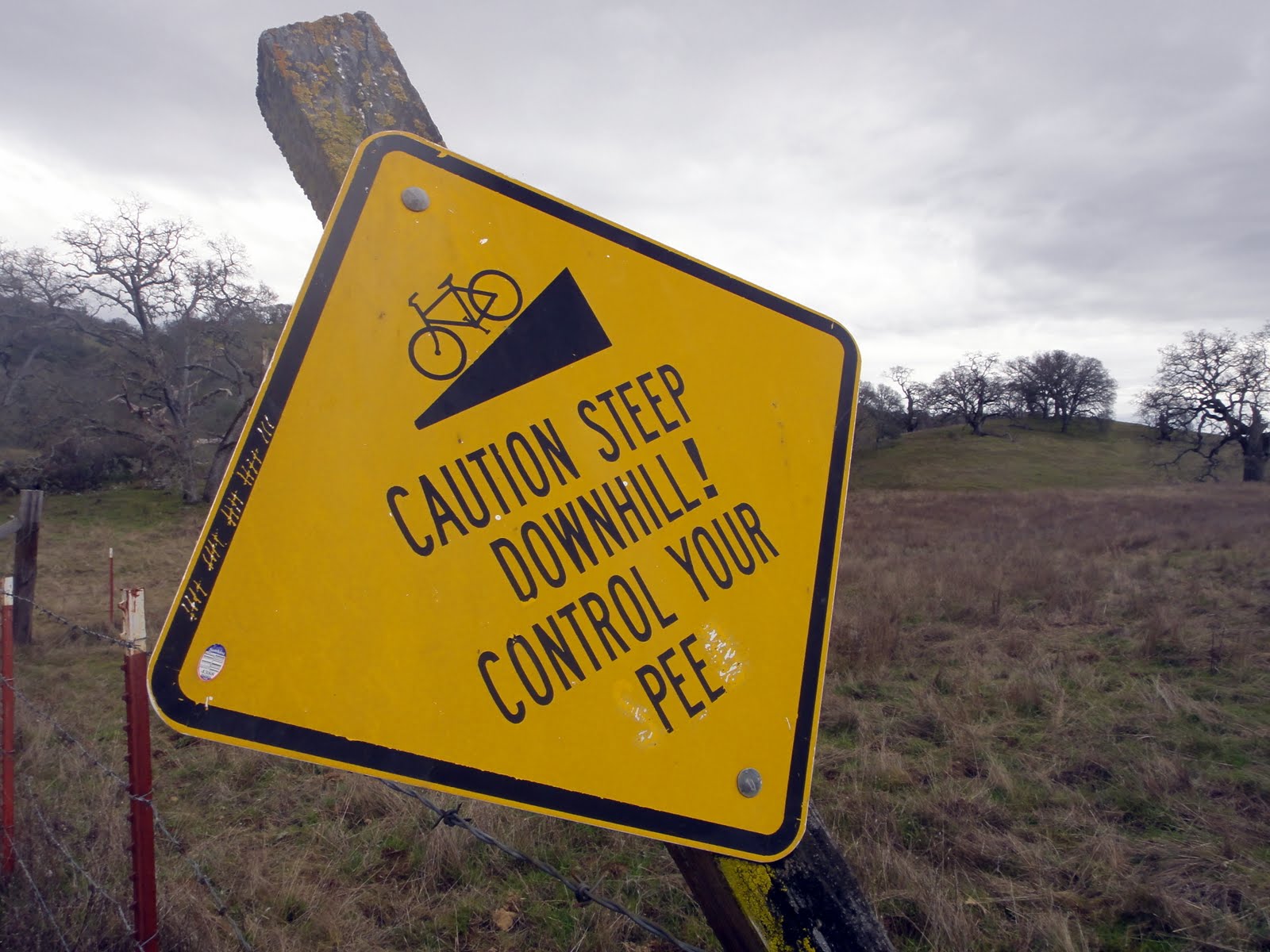 Jill Outside Grant Park Growler