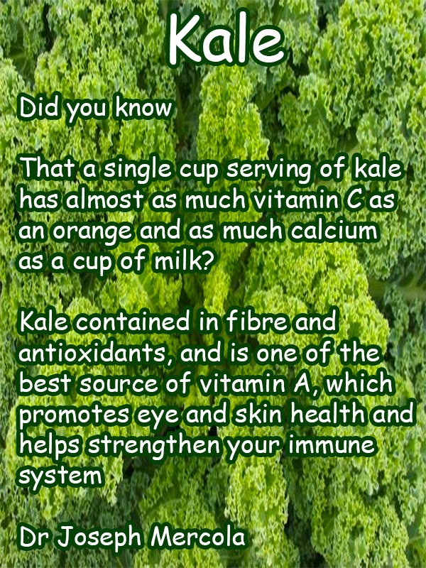The Wealth of Health Kale Health Facts