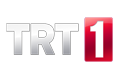  Trt 1 