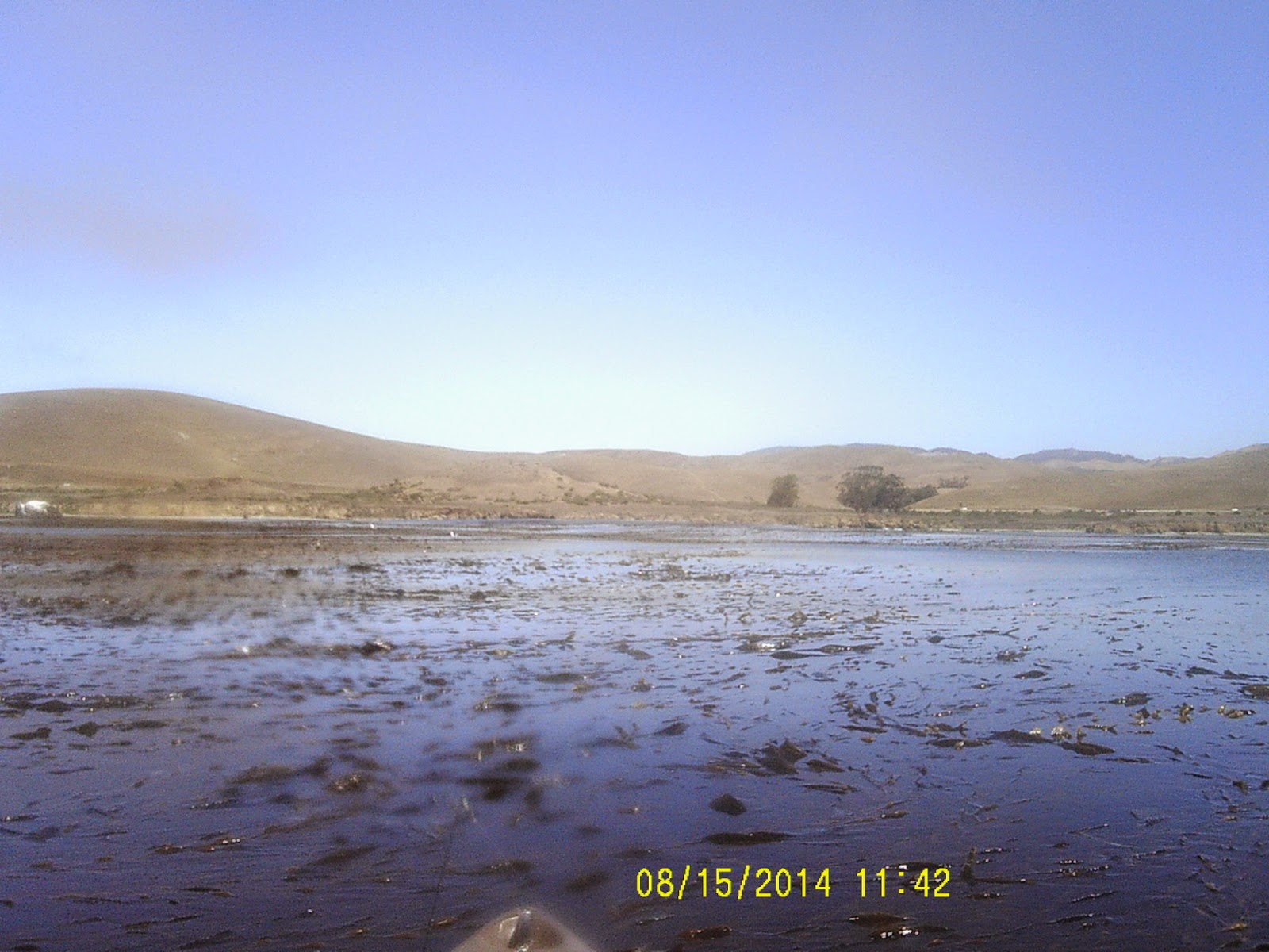 Estero Bay Kayak Fishing Constantine's Buoy 8/15/14