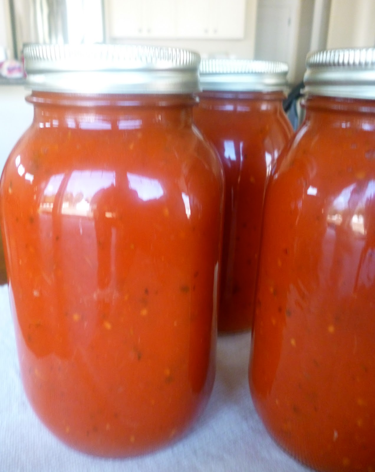 ** RECIPES FOR A PICKY EATER ** Spaghetti Sauce from Scratch