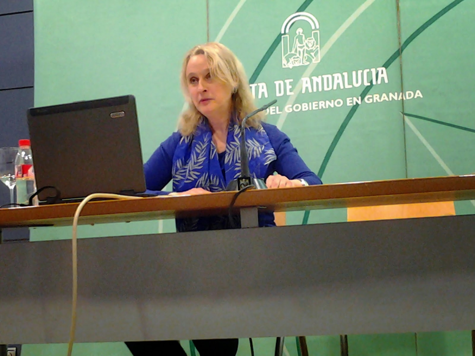 Amigos De La Orquesta Ciudad De Granada Junio 2014