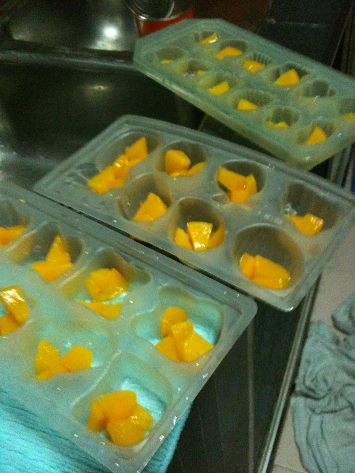 Sheila's & Aiko's Cook & Bake Canned Fruit Agar Agar