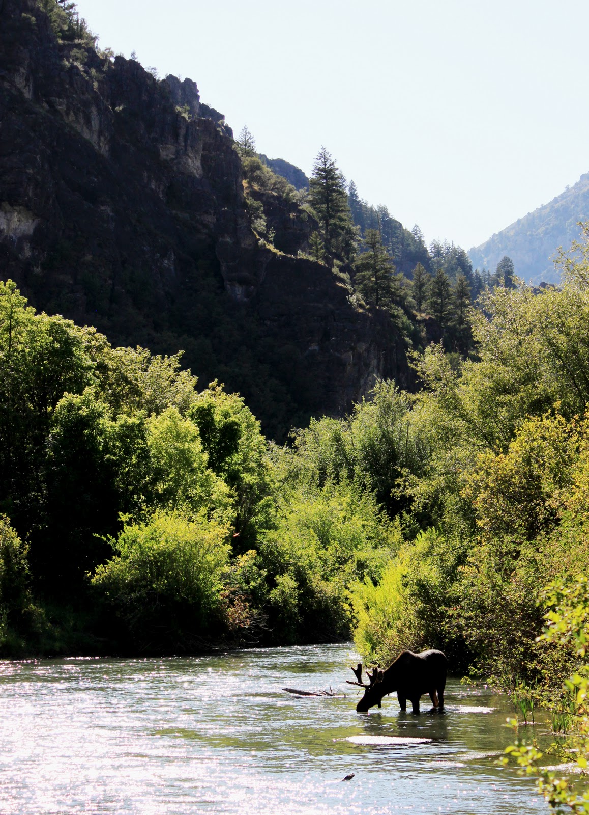 River Tales Blacksmith Fork Utah