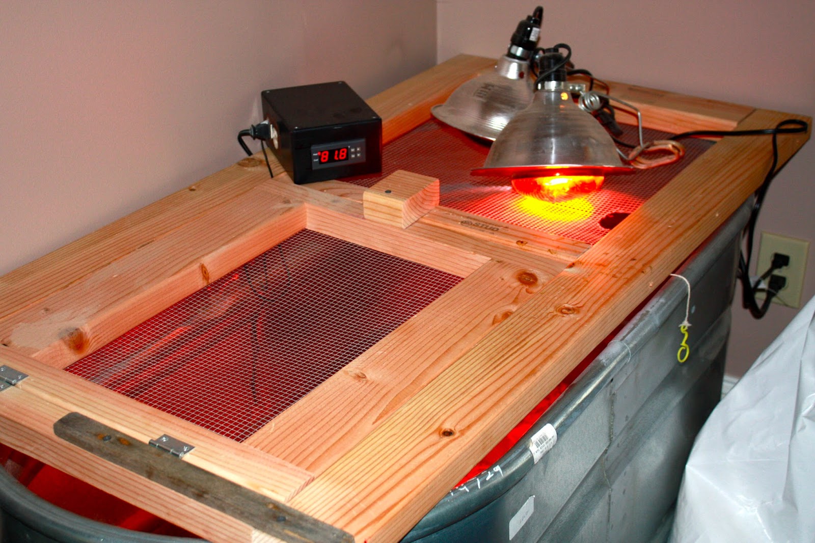Making a Temperature Controlled Brooder