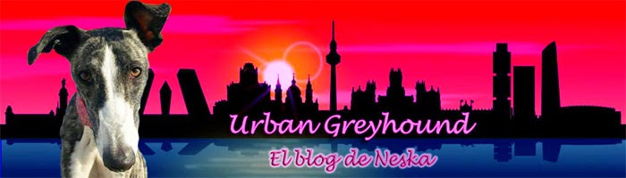 Urban Greyhound