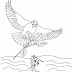 Kids Page: The Ant And The Dove - Aesop Fables Coloring Page