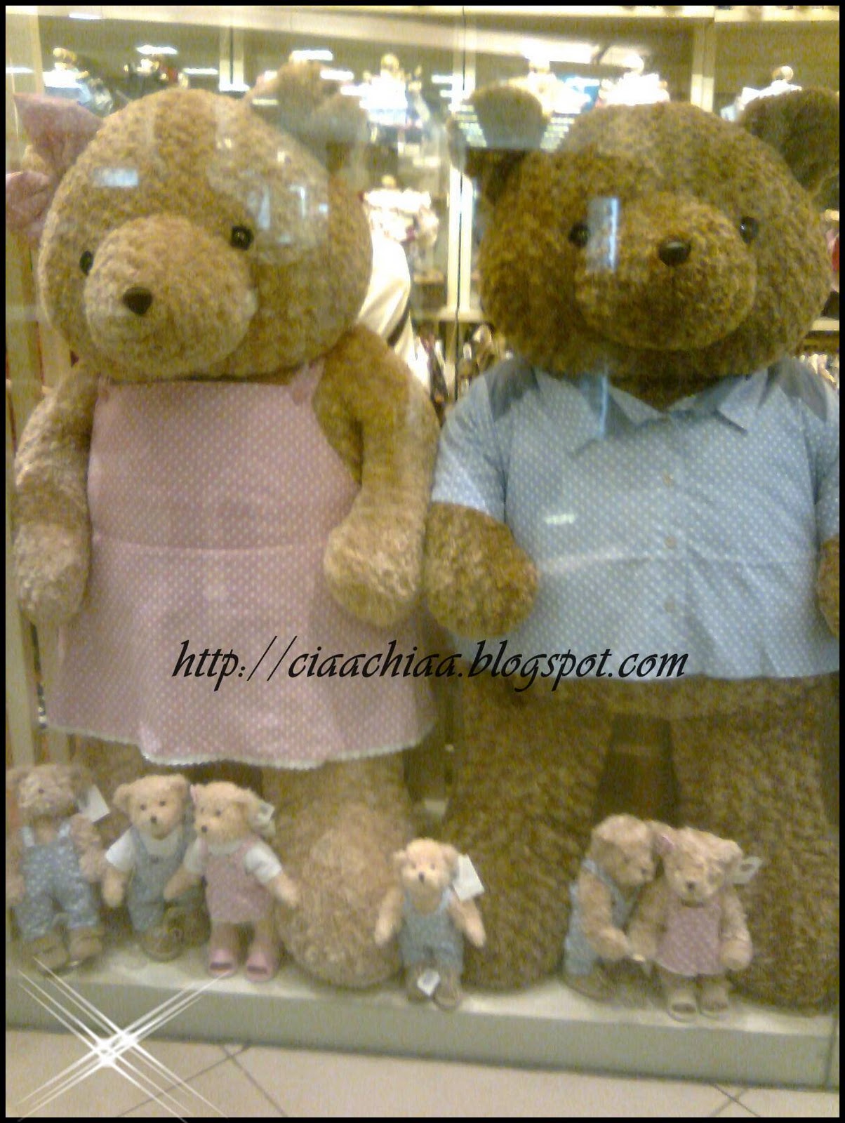 harga teddy house
