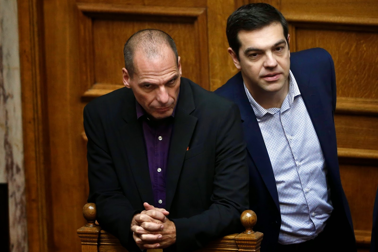 encontre o gato nível avançado resposta