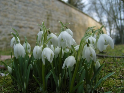 Unertragliche Leichtigkeit Des Seins Die Welt Riecht Suss Nach Gestern
