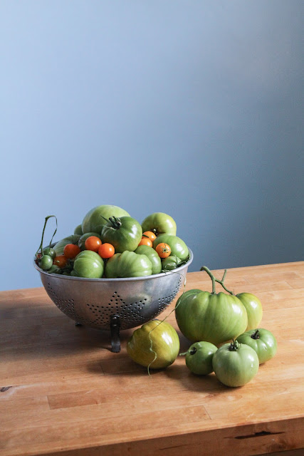 tomatoes, garden harvest, autumn, green tomatoes, Anne Butera, My Giant Strawberry