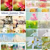 Adobe Photoshop 10000 Actions Pack 17 to 33