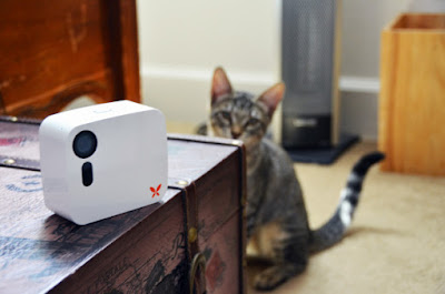 Cool Cameras For Your Everyday Life - Butterfleye