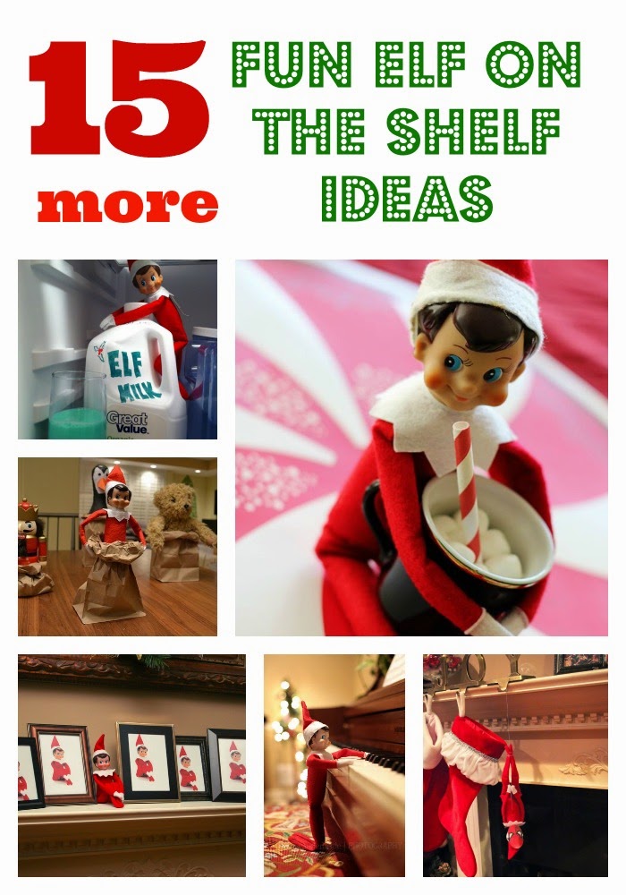 http://www.poofycheeks.com/2013/11/15-more-fun-elf-on-shelf-ideas.html