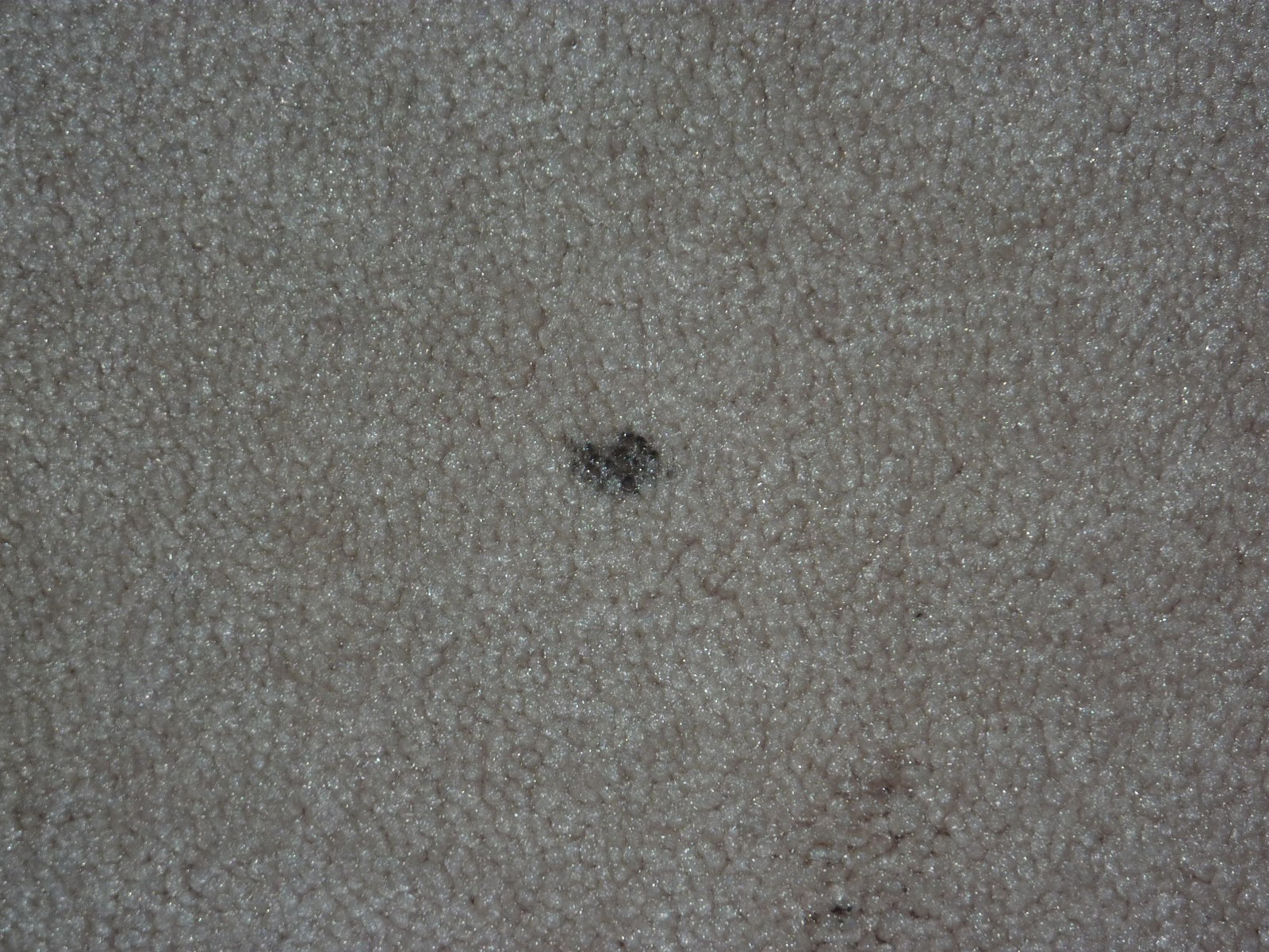 Tiny Black Dots On Carpet Carpet Vidalondon