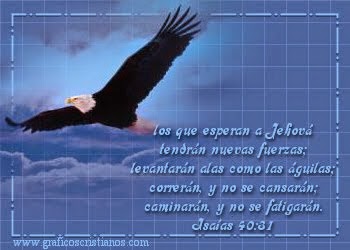 COMO LAS AGUILAS