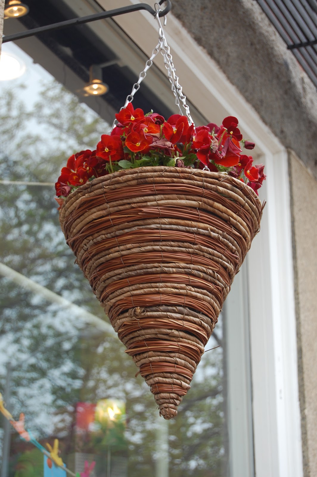 Sprouts Salem, Massachusetts Flowers Around Town