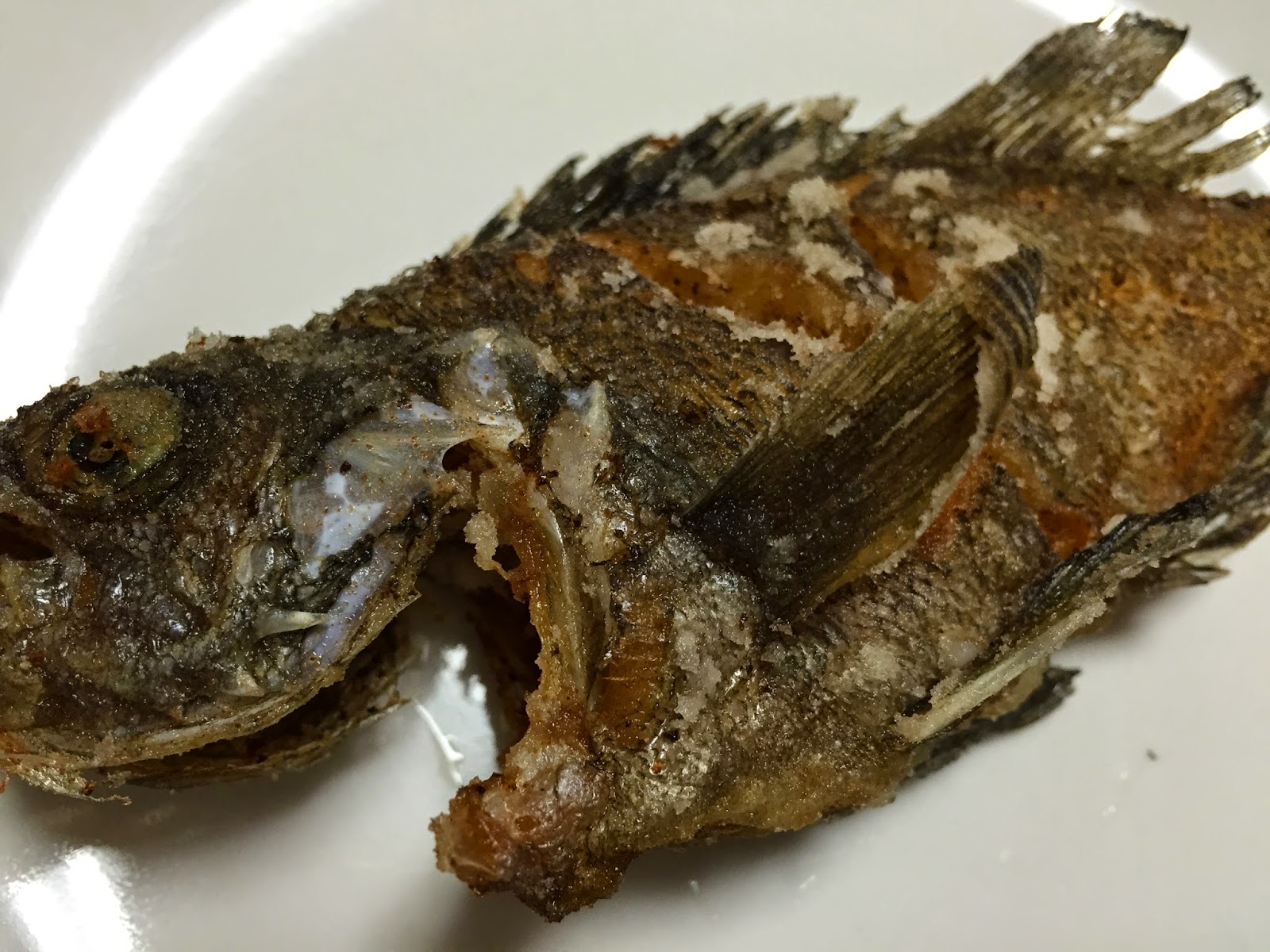 釣った魚は食べる メバルのからあげ